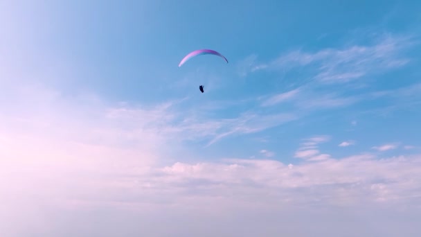 Der Pilot Eines Gleitschirms Auf Einer Kreuzfahrt Fliegt Einem Sonnigen — Stockvideo