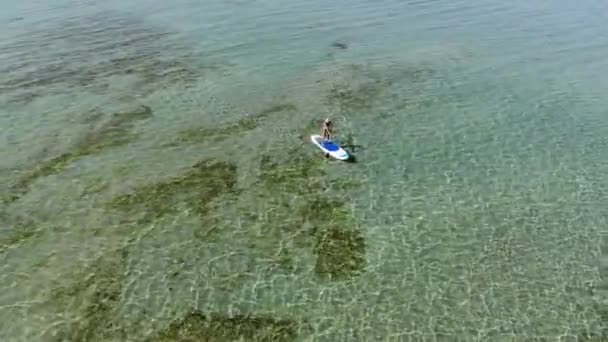 年轻时髦的女人在她的桨板上划船 在海里划船 一个戴着太阳镜和泳衣的女孩在开阔海面上的船舷上游泳 — 图库视频影像