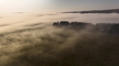 Ağaçlarla kaplı bir çayırda sisli bir sabah ya da akşam, kuş bakışı manzara. Güneş ışınları bulutları delip geçiyor..