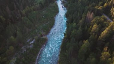 Dağlık bir vadideki kozalaklı ormanlarla çevrili sığ bir dağ nehri üzerinde hava manzaralı uçuş..