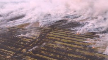 Dumanlı bir yangının destansı hava görüntüsü. Büyük duman ve ateş bulutları yayıldı. Tarımsal alanda kuru çimenler yanıyor.