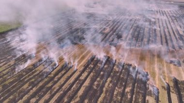 Yanan ve dumanı tüten bir alanda uçan hava aracı. Hava kirliliği krizi iklim değişikliği. Kuru havalarda kurak çimenler yanar. Hava kirliliğinin çevresel sorunu. Hava görünümü
