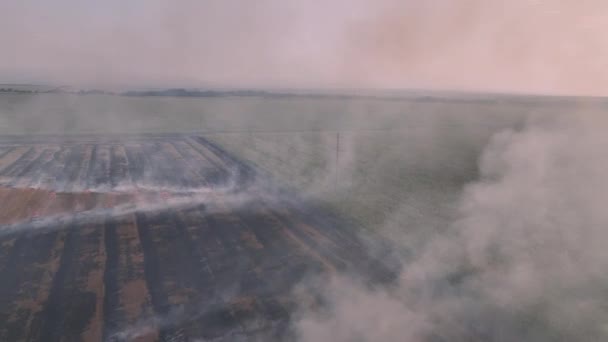Avión Tripulado Vista Aérea Volando Alrededor Campo Ardiente Humeante Contaminación — Vídeo de stock
