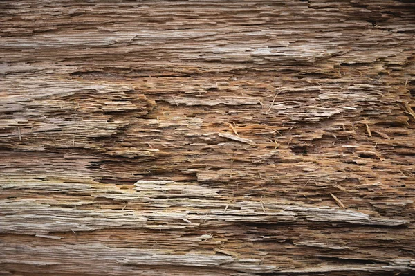Detailní Záběr Starého Stromu Hrubého Kmene Stromu Venku Hoblinami Struktura — Stock fotografie