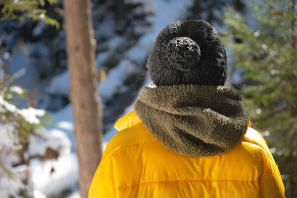 冬の暖かいジャケットの女性は雪の冬の松林の中を歩く 後ろからの眺め — ストック写真