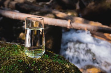 Bir bardak su, temiz içme suyu çimenli ve yosunlu bir taş üzerinde. Arkaplanda doğa.