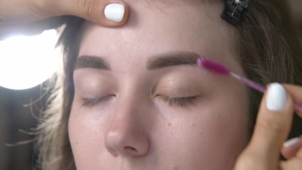Makijaż Artysta Grzebie Stylizuje Brwi Zabiegu Korekcji Brwi Kolorowania Spotkanie — Wideo stockowe