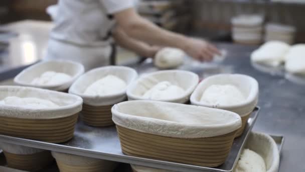Kneading Raw Dough Divided Loaves Bread Laying Them Out Baking — Stock Video