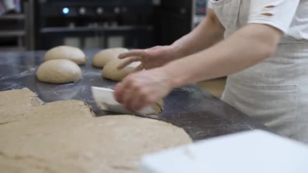 Female Hands Bakery Workers Separate Portions Dough Weighed Scales Making — Stock Video