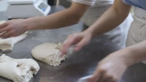 Female Hands Divide Dough Portions Making Artisan Homemade Bread Small — Stock Video