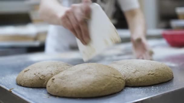 Kneading Artisanal Bread Bakery Womens Hands Knead Dough Lay Out — Stock Video