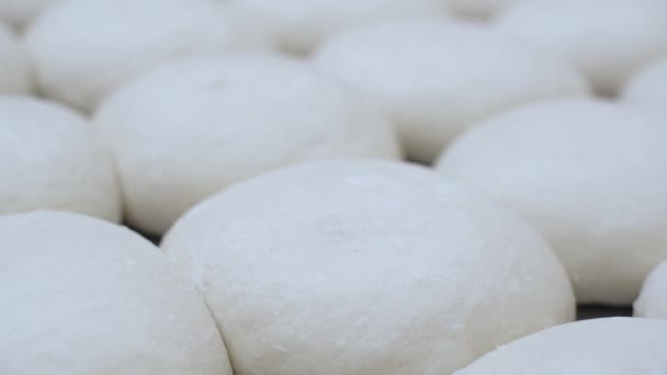 Close Balls Fresh Raw Dough Baking Buns Other Wheat Flour — Vídeo de stock