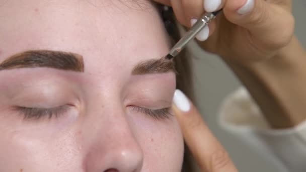 Een Cosmetoloog Schildert Een Vrouwelijke Wenkbrauwen Een Kosmetologische Kliniek Van — Stockvideo
