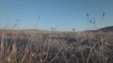 Yaz sandaletlerinde kadın ayakları kuru çimenlerde yürür, kamera ayakları takip eder. Beyaz elbiseli tanınmayan bir kız yürüyor..