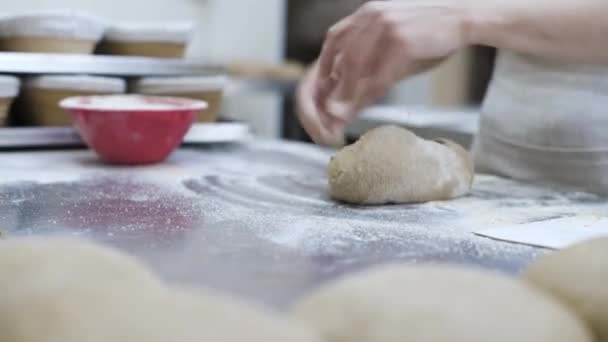 Kneading Raw Dough Divided Loaves Bread Laying Them Out Baking — Stock Video