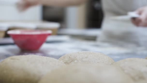 Змішати Сире Тісто Розділене Хліби Викласти Випічку Реміснича Пекарня Виготовлення — стокове відео