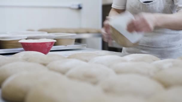 Chleb Rzemieślniczy Piekarni Kobiece Ręce Ugniatają Ciasto Kładą Się Naczyniach — Wideo stockowe