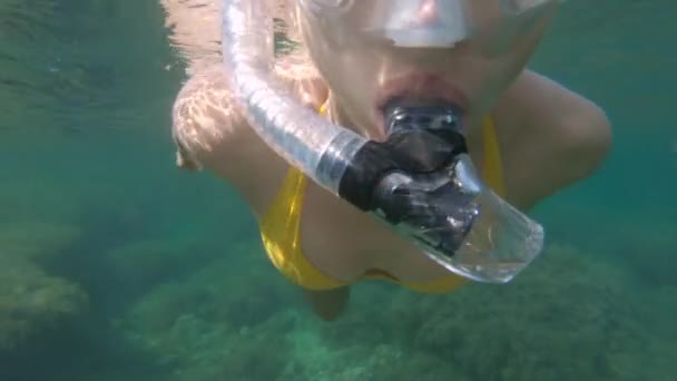 Hermosas Imágenes Submarinas Una Chica Bikini Amarillo Buceando Con Una — Vídeos de Stock