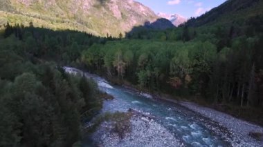 Dağlık bir vadideki kozalaklı ormanlarla çevrili sığ bir dağ nehri üzerinde hava manzaralı uçuş..