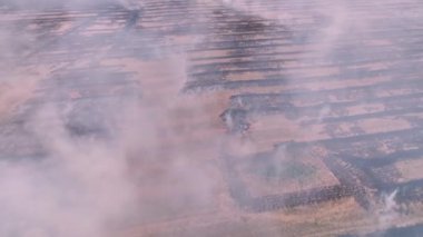 Güneşli bir günde yanan tarlaların destansı görüntüsü. İnsansız hava aracından çekilen tarımsal alanda çıkan bir yangının havadan görüntüsü. Tarlaların üzerinde sigara iç.