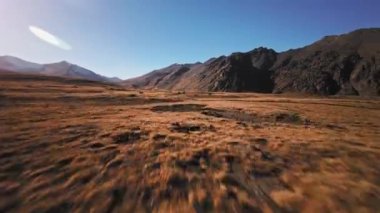Sarı bir sonbahar tarlasında yüksek hızda yüksek hızla uçan bir FPV 'nin alçaktan uçuşu. Kafkasya dağ sırası ve Elbrus volkanı karla kaplı dağlarla çevrili..