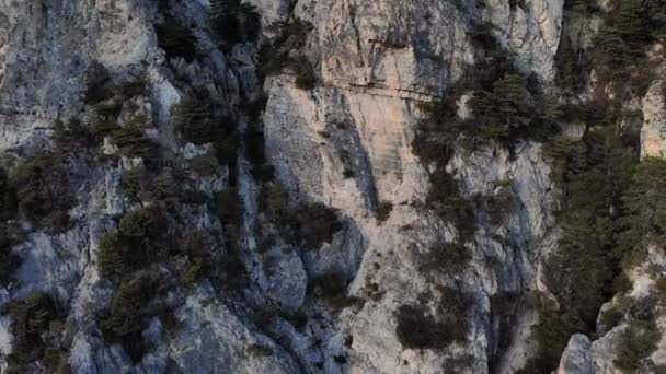 Kamienna Ściana Jałowcem Iglastymi Drzewami Wysoko Górach Widok Powietrza Zarezerwowanej — Wideo stockowe