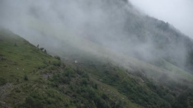 Dağlarda alçak bulutlar. Sis hareketi. Kuzey Kafkasya 'nın manzarası ve doğası.