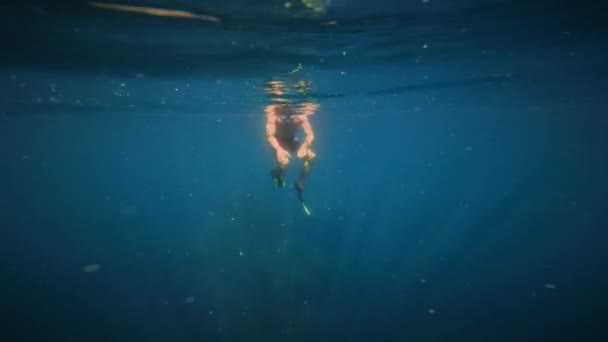 Víz Alatti Búvár Kék Háttérrel Fiatal Férfi Rövidnadrágban Uszonyban Merül — Stock videók