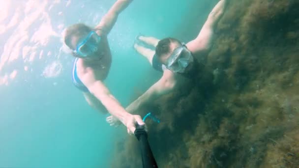 两位男性朋友带着面具和潜水在海藻中游泳 自私自利的快乐游客 在海里潜水 — 图库视频影像