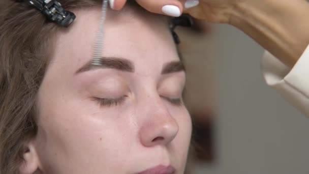 Makijaż Artysta Grzebie Stylizuje Brwi Zabiegu Korekcji Brwi Kolorowania Spotkanie — Wideo stockowe