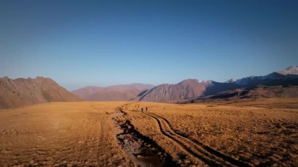 Вид Повітря Двох Чоловіків Рюкзаками Подорожують Заході Сонця Серед Високих — стокове відео