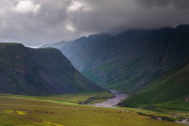 Uzaktaki yüksek dağlardaki yeşil tarlaların üzerinde gün batımının güzel resimleri..