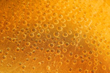 Sarı zemine düşen yağmur damlaları kavramı. Yüzeyinde kabarcıklar olan soyut ıslak yüzey. Gerçekçi temiz su damlaları.