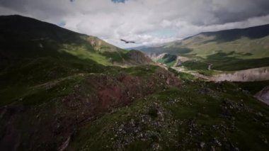 Bir FPV insansız hava aracının hava görüntüsü. Bir kuadkopter dağlarda vahşi bir dağ kartalını kovalıyor. Gökyüzünün vahşi yaşamı.