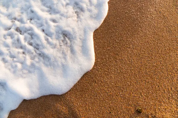 Sörften köpüklü altın kum geliyor. Mesaj ya da reklam için boş. Model.