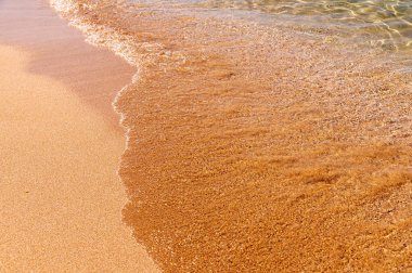 Sakin dalgalı tropik kumsal.