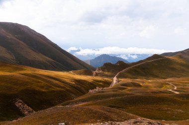 Yazın gün batımında tarlalardaki dağ yolu manzarası. Yeşil çayırlar arasında dolambaçlı yolu olan güzel bir manzara, yazın altın güneş ışığı. Seyahat.
