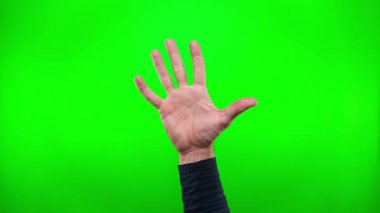 El hareketleri, yakın plan, erkek eli kareye girer ve beş numarayı gösterir ve jest sınıfı, yeşil arka plan, maket.