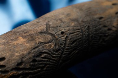 Yakın çekim makro çekim ve sığ alan derinliği. Böceklerin yediği kuru bir ağaç dalı..