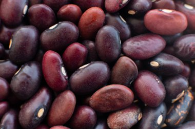 Kırmızı çiğ organik sağlıklı fasulye tohumlarıyla donatılmış. Makro yemek, taze kuru fasulye..