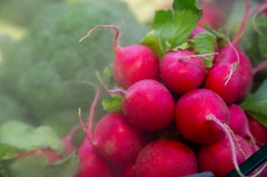 Taze organik turplar ve brokoli. Sağlıklı beslenmek için parlak tarım ürünleri, bitki temelli diyet. Marketten taze sebzeler..