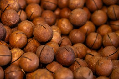 Arka plan olarak lezzetli macadamia fındığı dokusu, yakın plan. Lezzetli kahverengi macadamia fındıkları hemen açılıp yemek için kesikleri var..