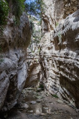 Avakas Gorge, Kıbrıs 'ın güney kesiminde bir kireçtaşı kanyonudur. Yürüyüş için mükemmel. Ürdün 'deki boğazlara benziyor. 23.03.2023