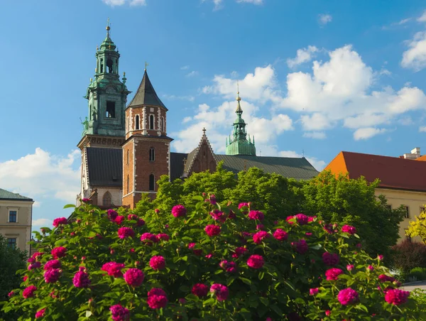 Piękna Stara Katedra Wawelu Krakowie Czerwone Róże Pierwszym Planie — Zdjęcie stockowe