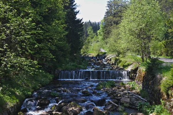 スキー場の山の川Upa Pec Pod Snezkou夏の風景 Krkonose Czech Republic — ストック写真