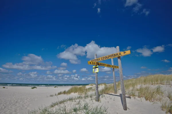 Prachtig Kustlandschap Een Leeg Strand Het Schuimige Water Van Oostzee Stockafbeelding