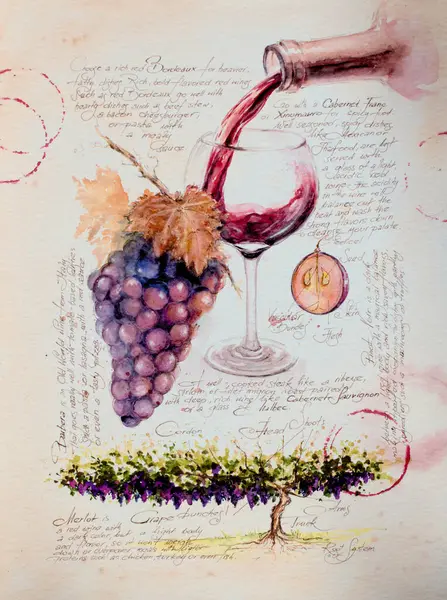 Grapevine Its Fruits Bottle Red Wine Glass Wine Illustration Painted Лицензионные Стоковые Изображения