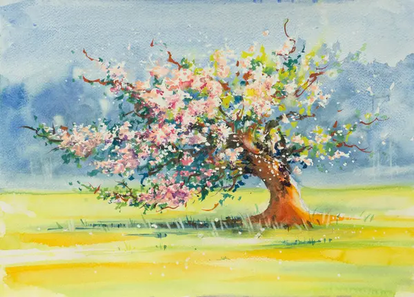 Çayırdaki kiraz ağacı suluboya çizimi, çiçek açan elma ağacının akvaryum çizimi, resim bahçesi, el çizimi sanat arka planı..