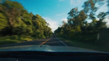 Arabanın ön camından yol manzarası. Arabanın plakası asfalt yolda ilerliyor.