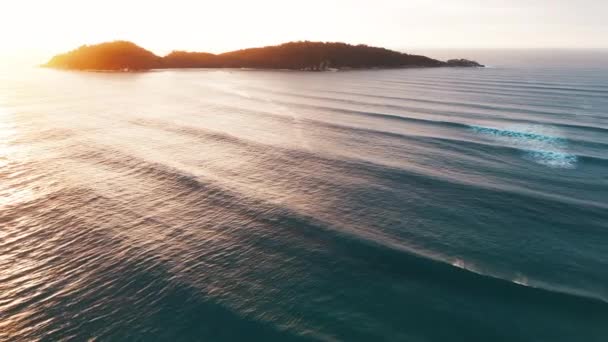 Aerial View Atlantic Ocean Waves Brazilian Coastline Atlantic Ocean Sunrise — Stock Video